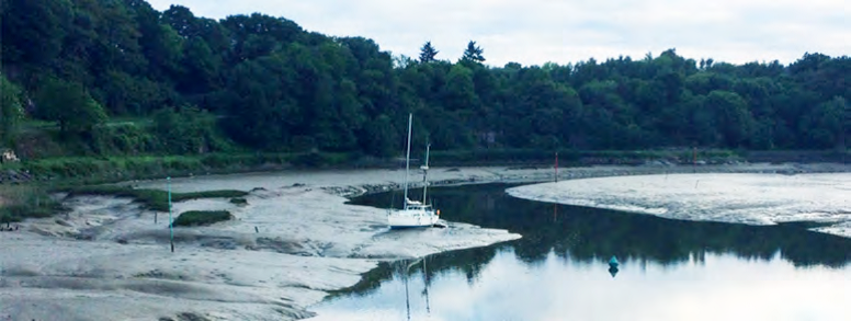 Rance Environnement : ensemble, sauvons l’estuaire