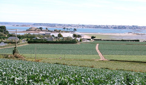 Produire ET résider sur le littoral en Bretagne !