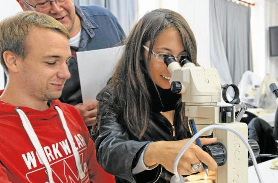 La formation bio marine se développe en Bretagne