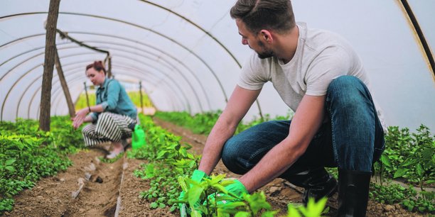 La Bretagne accompagne la transition vers l’agroécologie