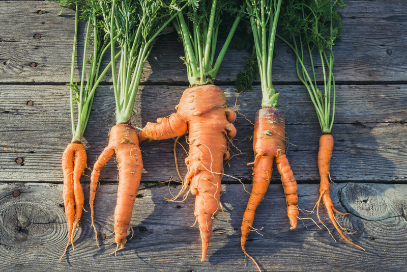 Foodologic : la start-up qui s’attaque au gaspillage alimentaire