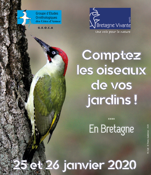 Les 25 et 26 janvier, comptez les oiseaux des jardins