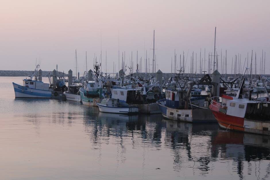 La pêche bretonne se mobilise pour se rendre visible