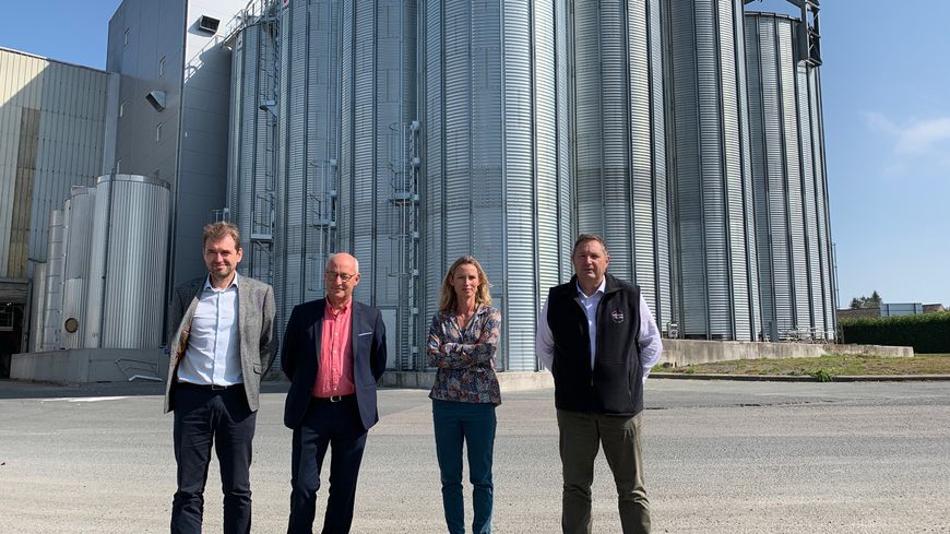 Des industriels bretons lancent la première filière locale de protéines végétales