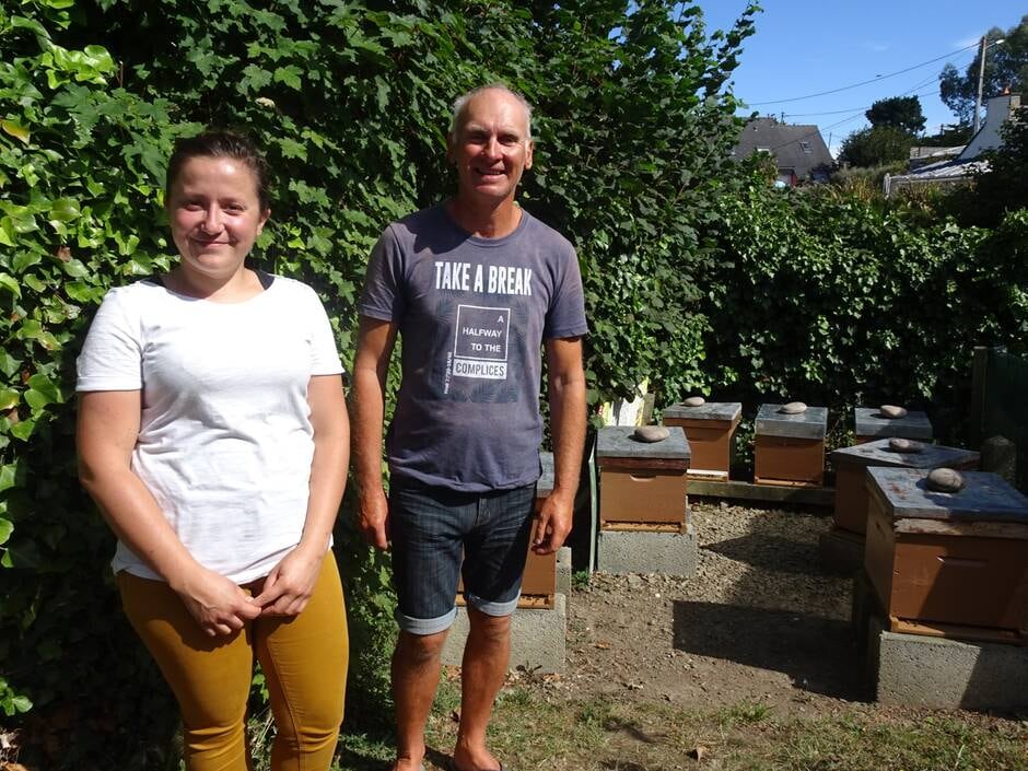 Avec l’aide des abeilles, le sarrasin fait son retour en Bretagne