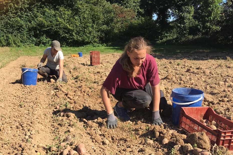 Pérenniser le terrain agricole, éviter l’endettement des paysans. Les missions de Terre de liens