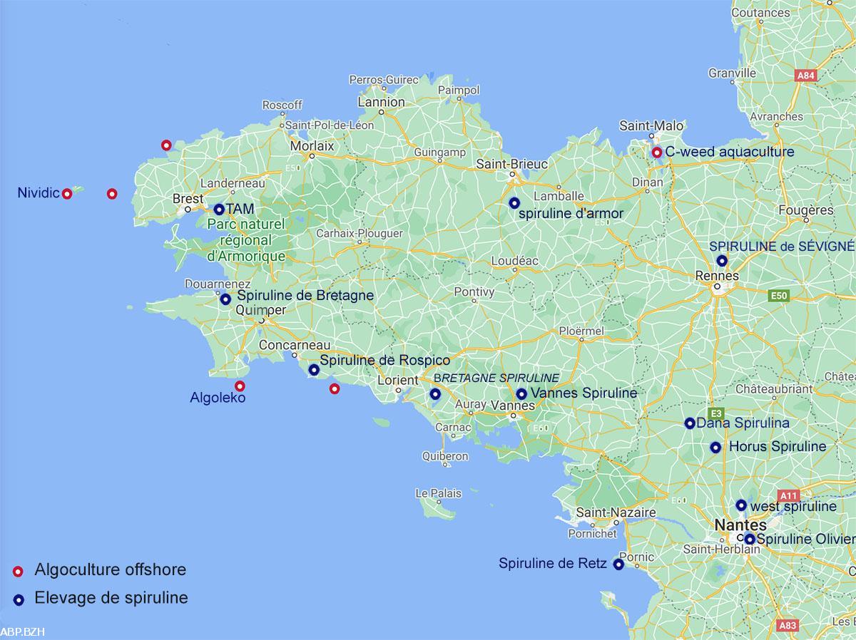 Quel avenir pour l’algoculture en Bretagne ?