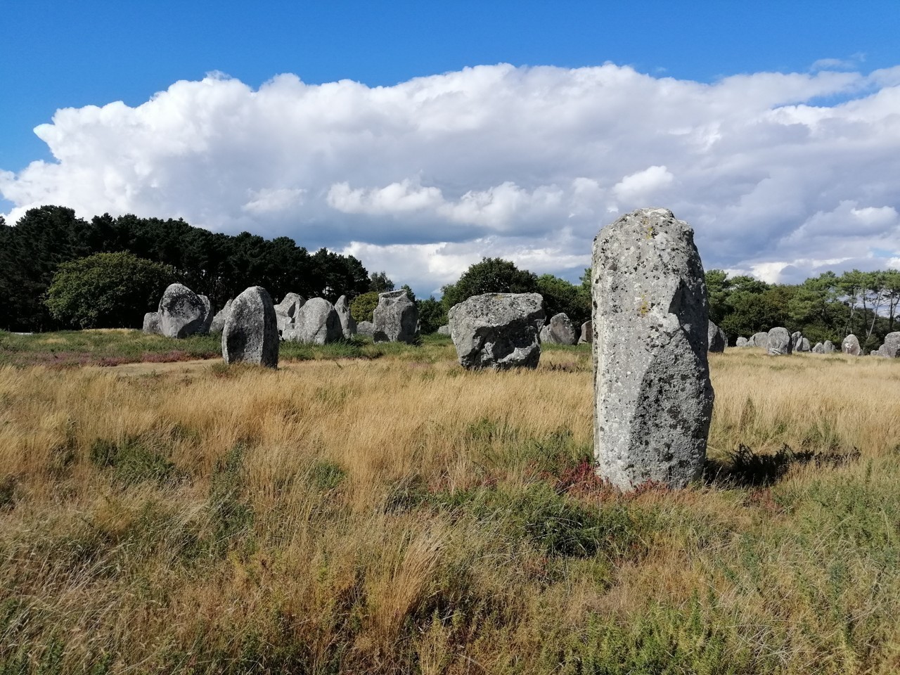 Mégalithes de Carnac : une charte signée pour que le dossier soit classé à l’Unesco